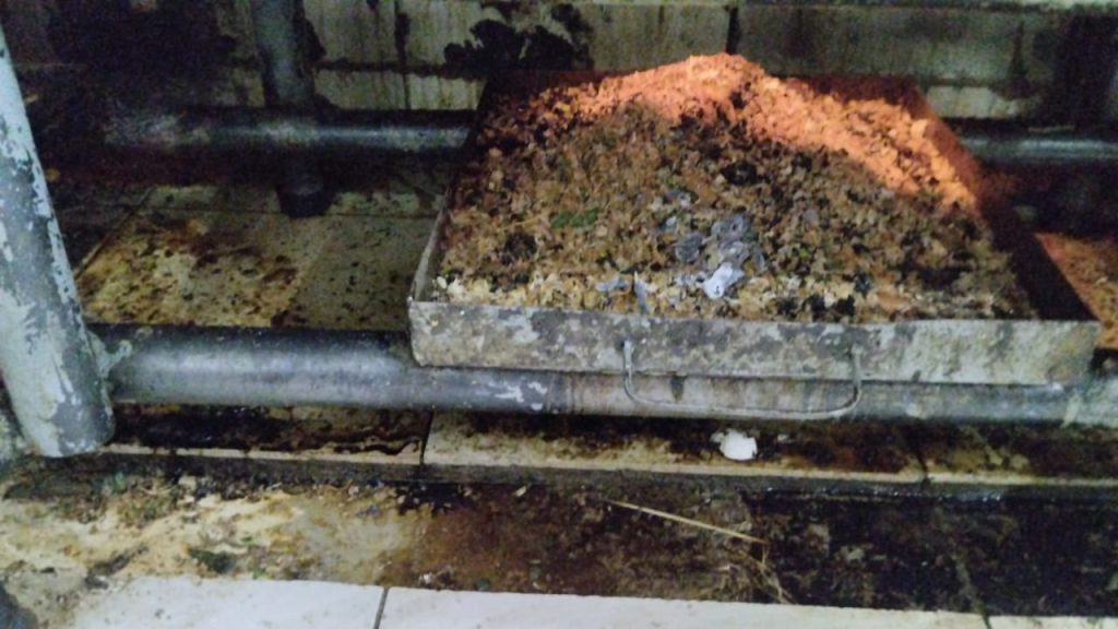 Imagen de cuerpo de nota