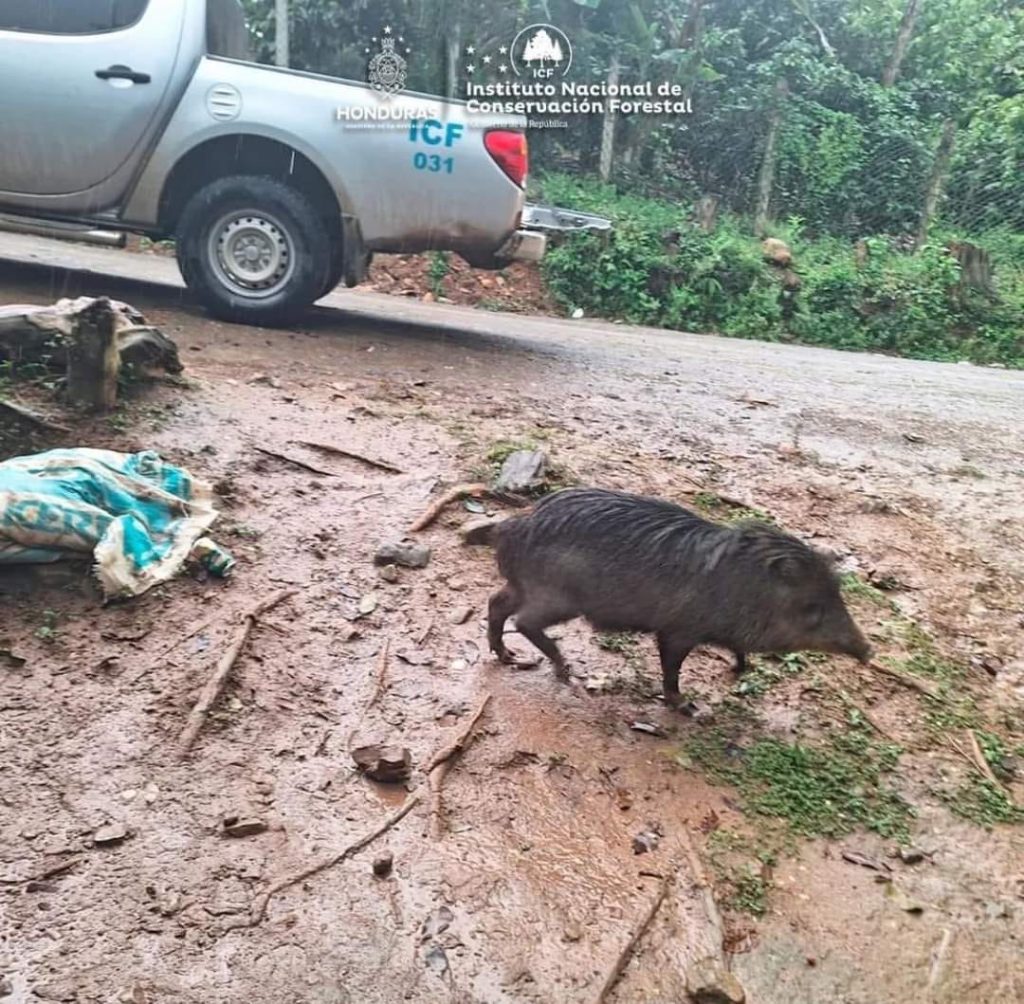 Imagen de cuerpo de nota