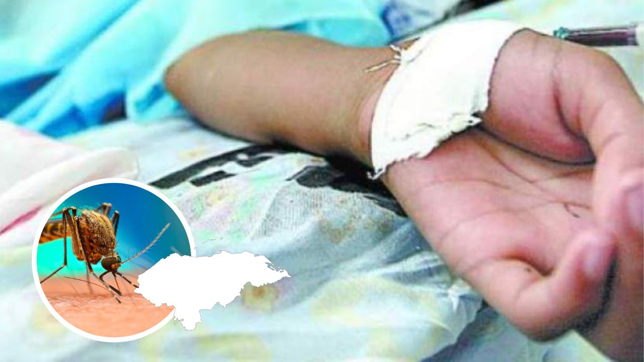 Imagen de Dengue marca mortalidad de menores: suman 14 niños muertos en Hospital Escuela