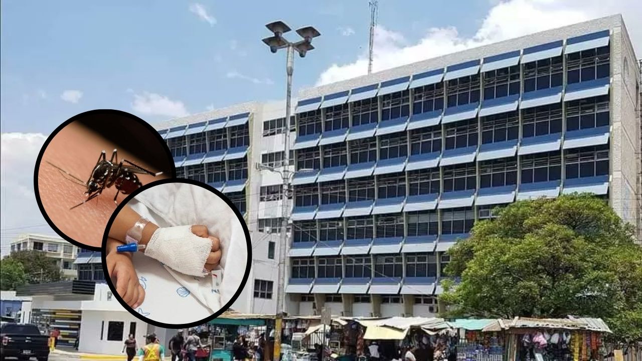 Imagen de 95% de pacientes de dengue son niños en Hospital Escuela