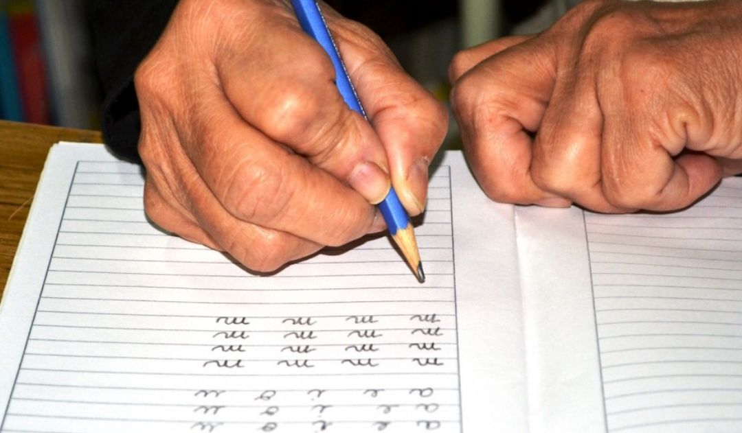 Imagen de 100 municipios libres de analfabetismo al cierre de 2023