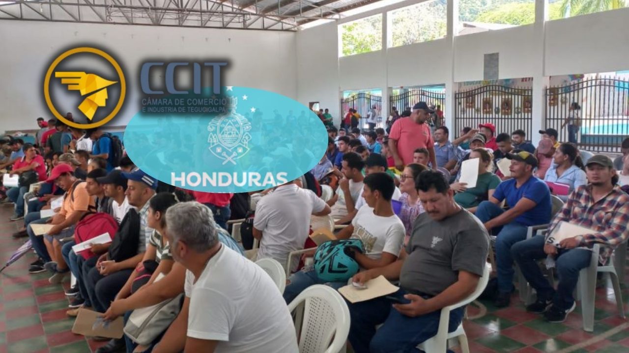 Imagen de CCIT solicita al Gobierno trabajar en conjunto con empresa privada para generar empleo