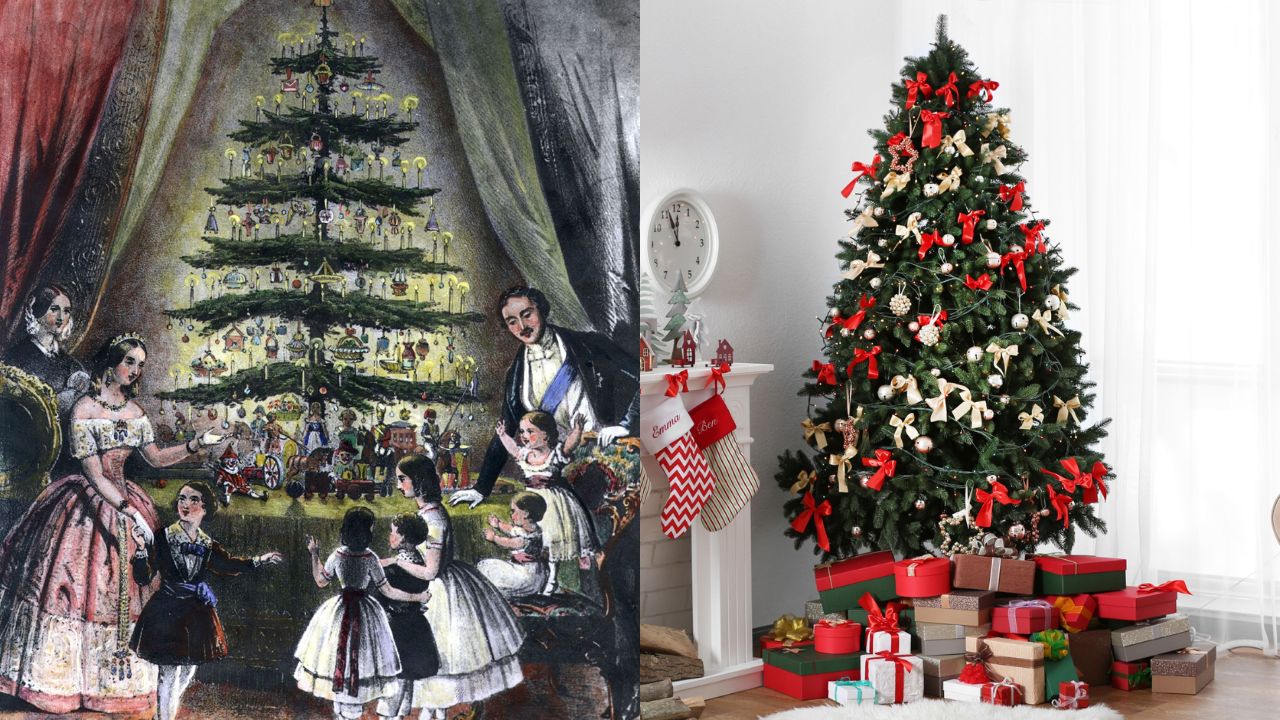 Imagen de ¿En qué país se originó el árbol de Navidad? Origen de este símbolo de las fiestas navideñas