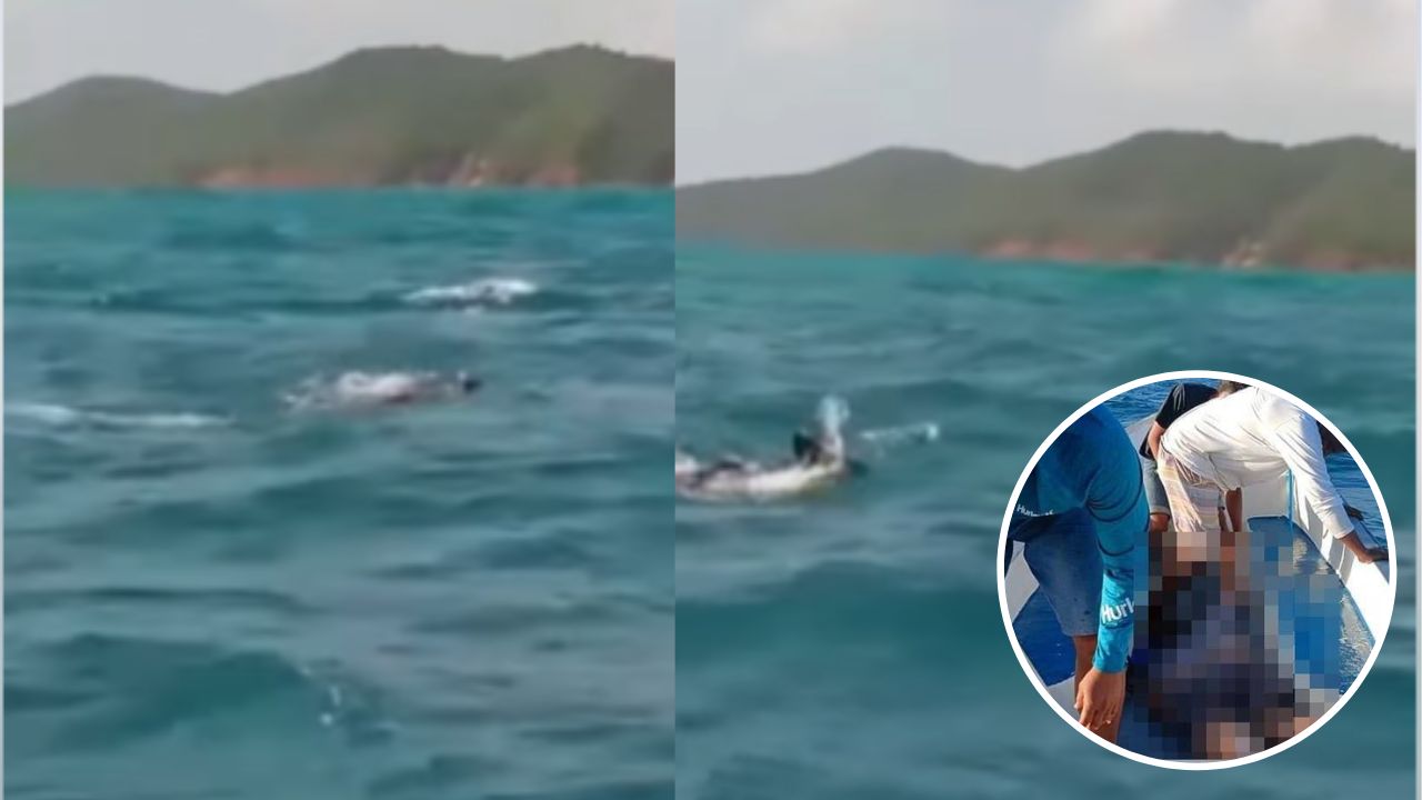 Imagen de Graban a papá en medio del mar buscando a su hija, una de las víctimas del naufragio en Guanaja