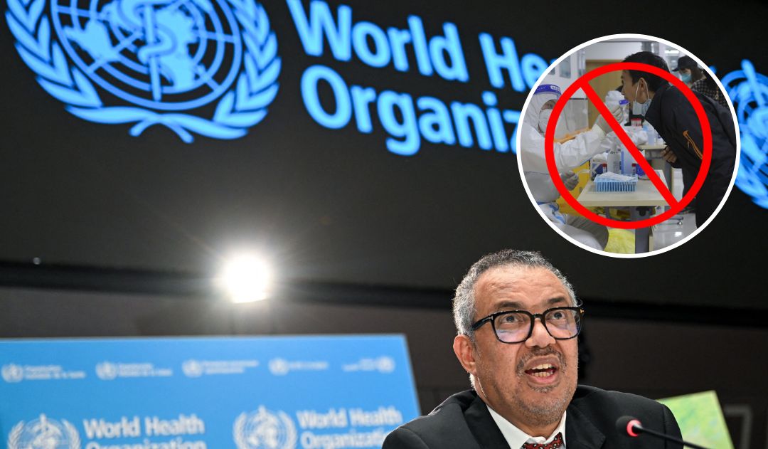 Imagen de La OMS recuerda un 2023 histórico en el que se puso punto final a la pandemia de covid-19