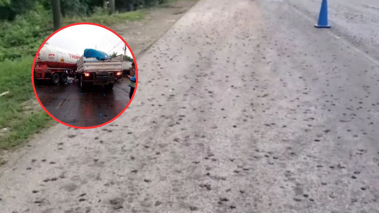 Imagen de VIDEO: plaga de ranas causó caos vehicular en Choloma, Cortés