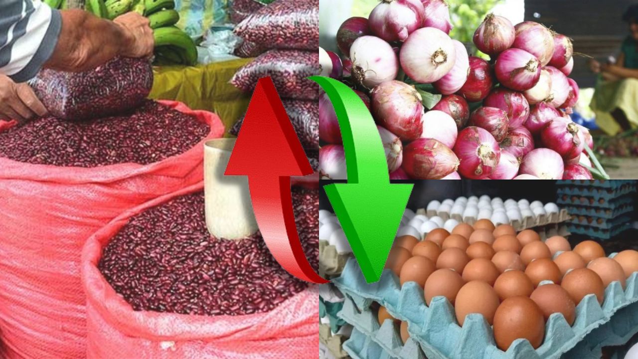 Imagen de Alzas y rebajas se registran en precio de algunos alimentos; largas filas para comprar huevos