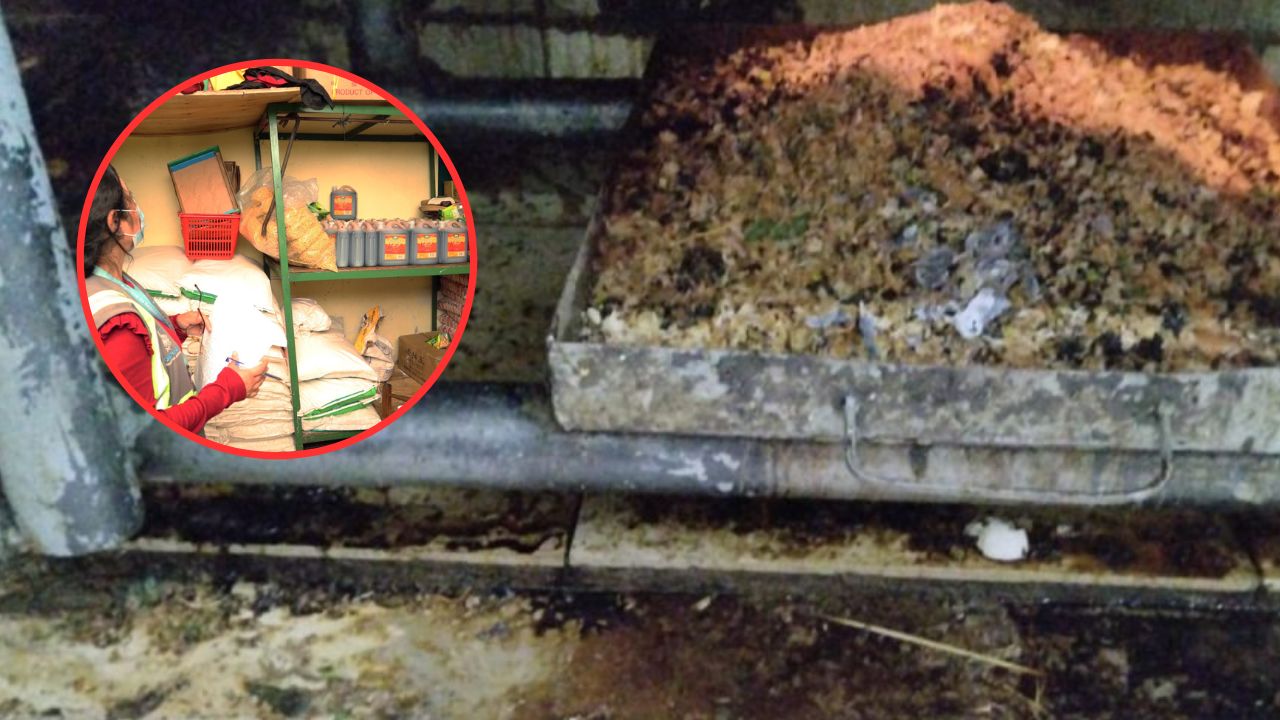 Fotos: cucarachas y hasta ratones muertos, lo que hallaron en restaurante chino en Tegucigalpa