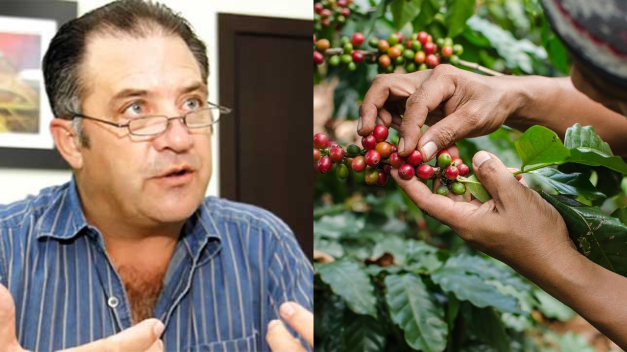 Imagen de 'Con la escasez de divisas, muchos negocios van a cerrar,' alerta Emilio Medina, de Unecafeh