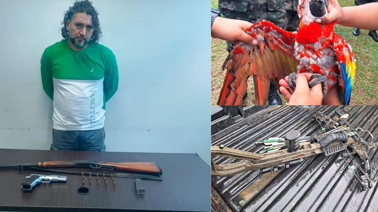Imagen de Capturan a hombre por tráfico ilegal de fauna en Olancho; los animales rescatados estaban en condiciones críticas