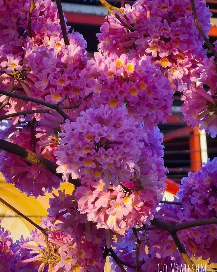 Imagen de cuerpo de nota