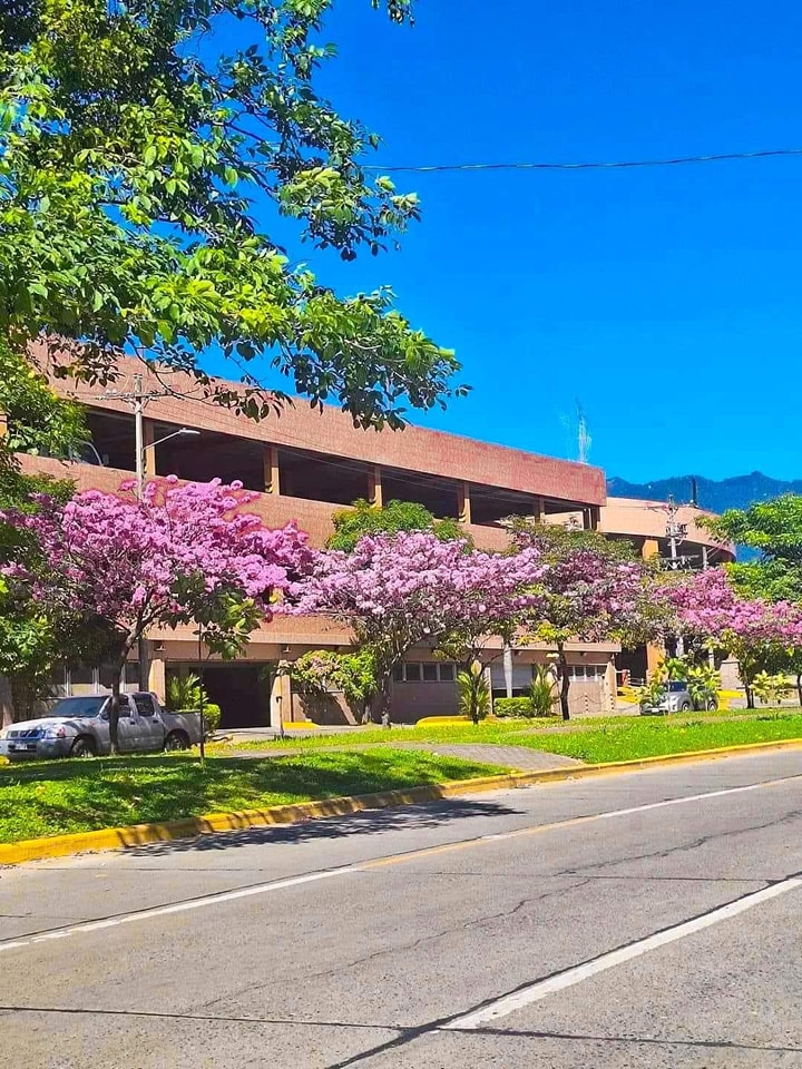 Imagen de cuerpo de nota