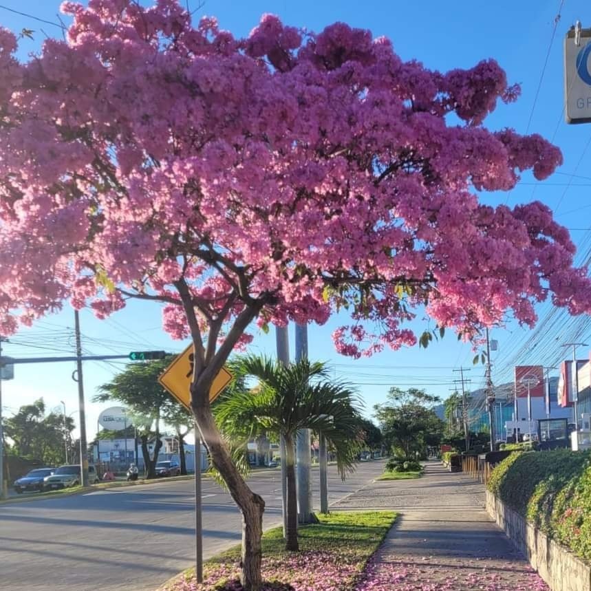 Imagen de cuerpo de nota