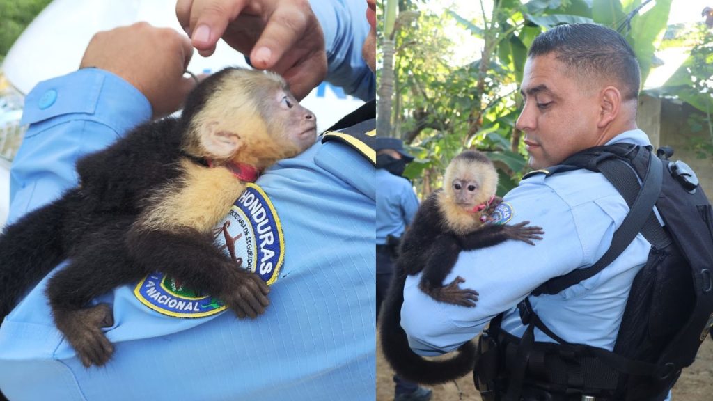 Imagen de cuerpo de nota