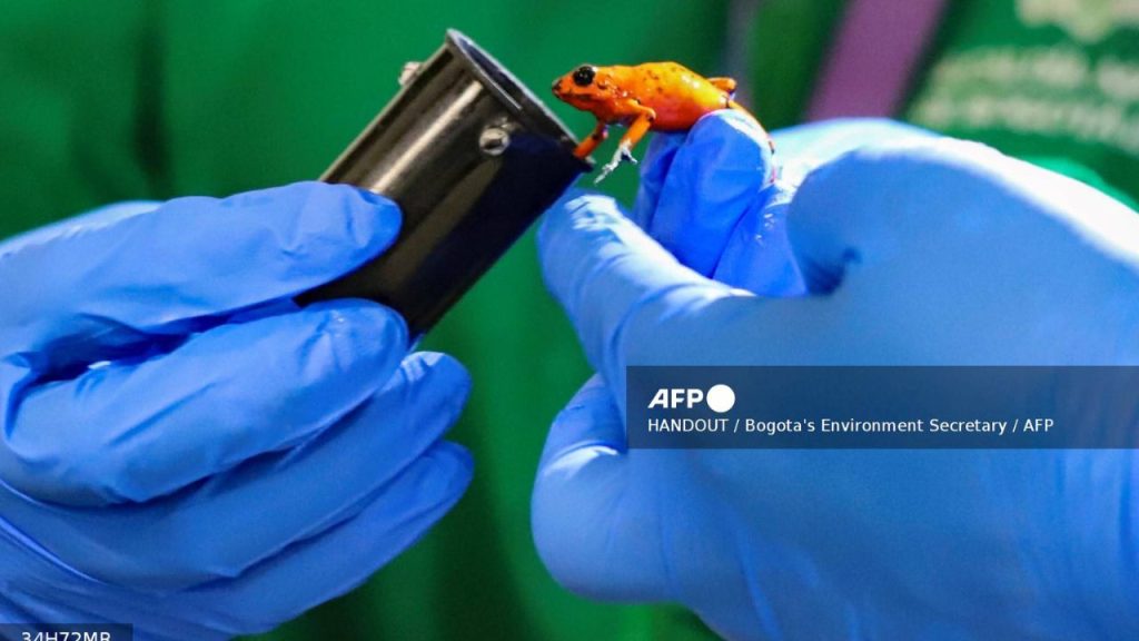 Imagen de cuerpo de nota