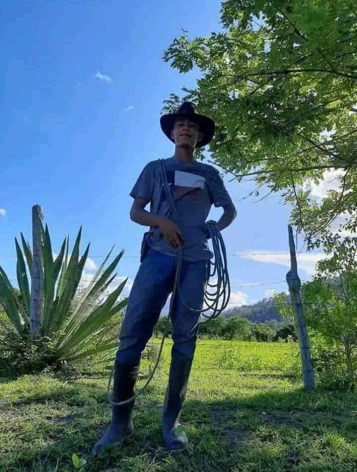 Imagen de cuerpo de nota