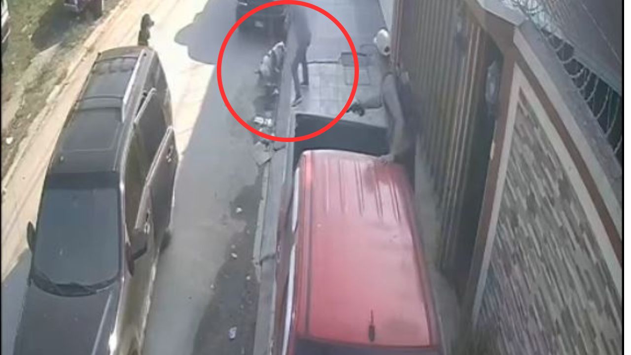 'Le tuvieron miedo', perro frustró asalto de tres sujetos armados en una casa de SPS
