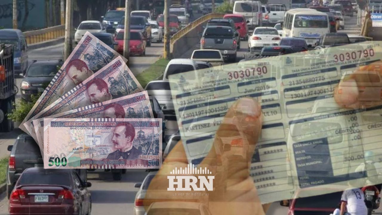 Unos 795,000 hondureños serían beneficiados con amnistía vehicular, según IP