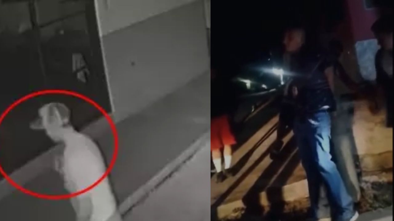 '¡Mano dura!': pobladores castigaron a supuesto ladrón en Danlí