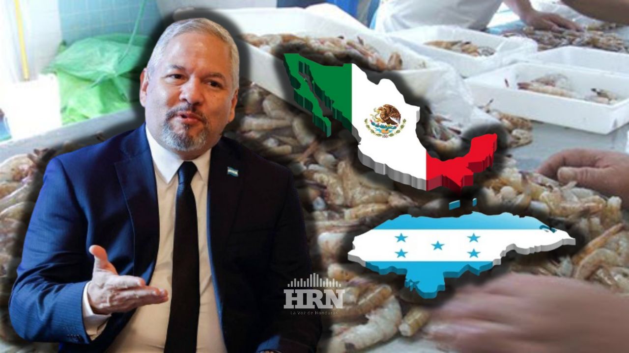 Honduras interpondrá reclamo a México por cierre de fronteras a exportación de camarón