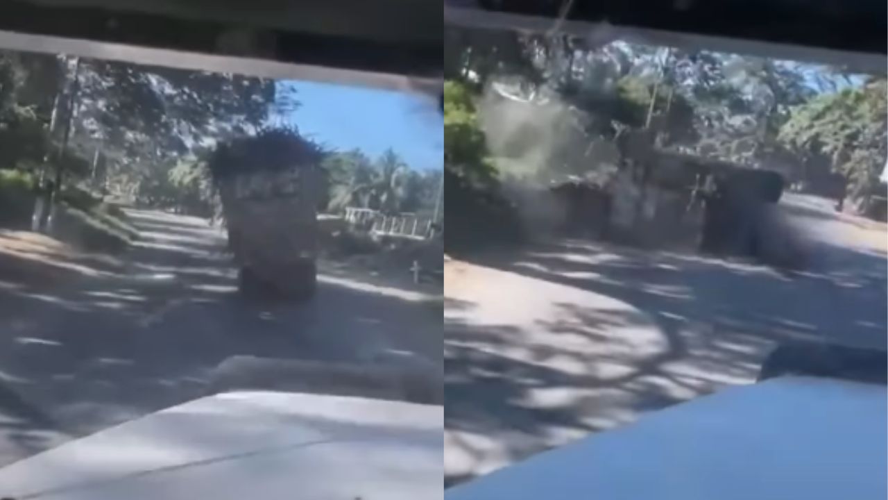 Impactante vídeo: camión cargado de caña de azúcar volcó en Santa Bárbara