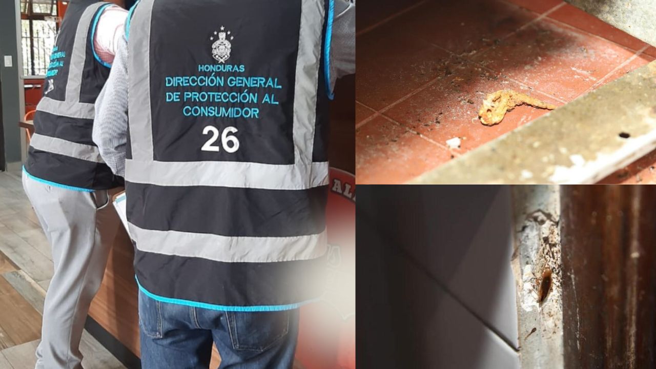 Cierran restaurante de alitas en Tegucigalpa; encontraron una plaga de cucarachas