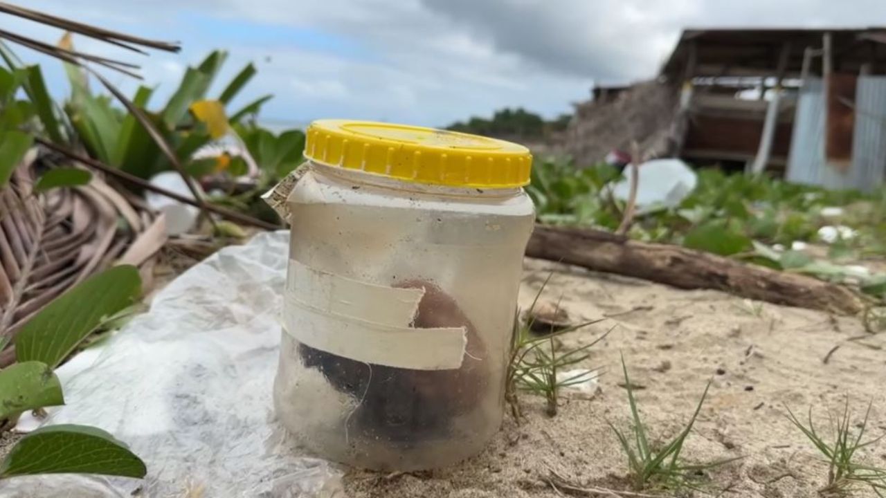 Hallan supuesto corazón humano dentro de un bote en la bahía de Trujillo, tiene un nombre inscrito