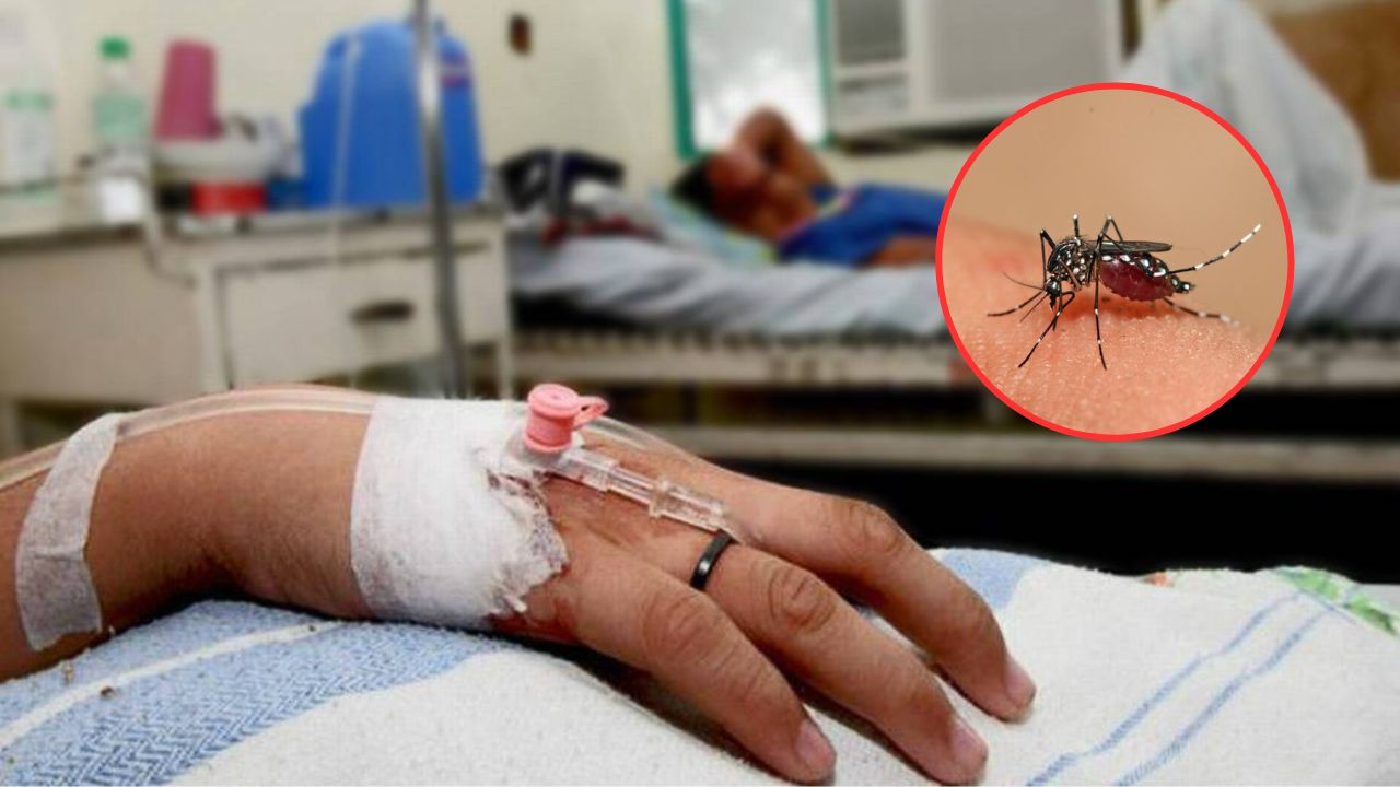Reportan una veintena de pacientes hospitalizados por dengue en el Valle de Sula