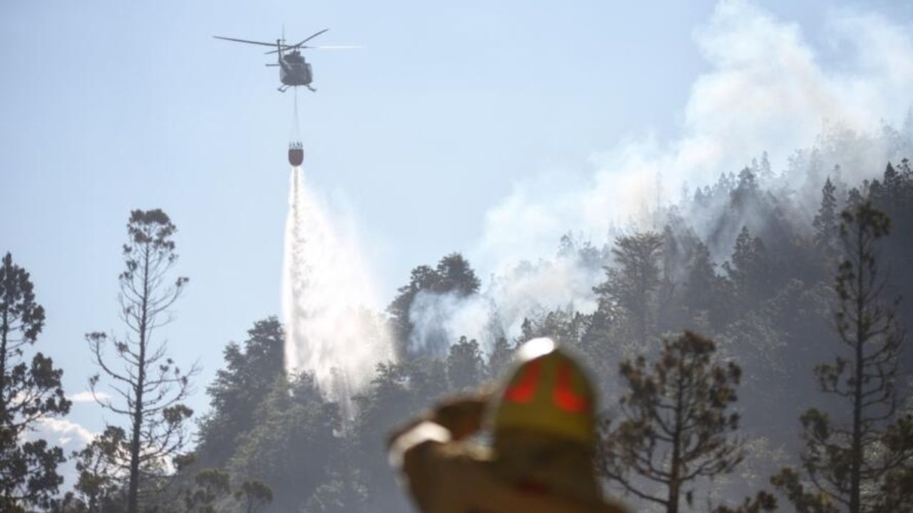 Incendio arrasó con casi 600 hectáreas en parque nacional de Argentina