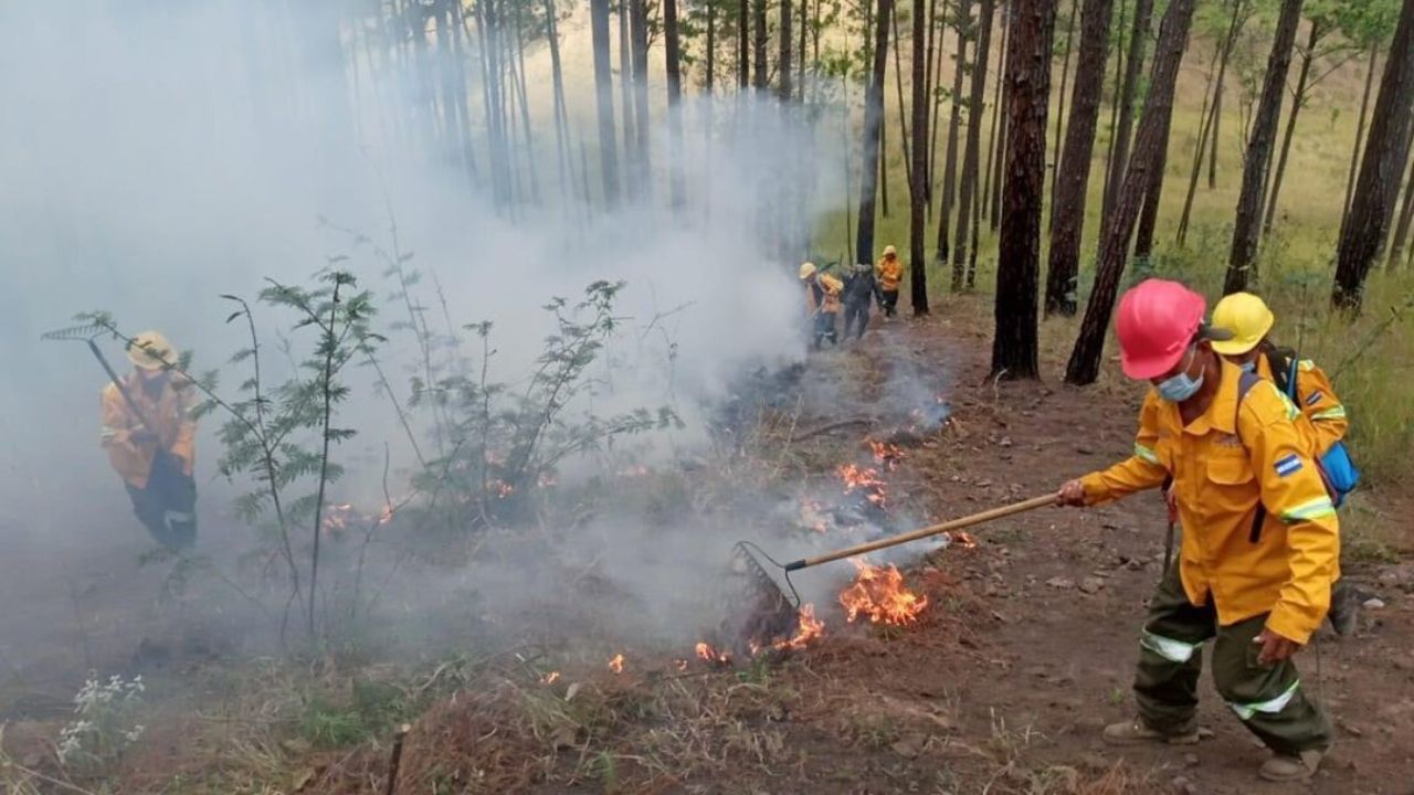 21 incendios forestales se registran en 21 días de 2024
