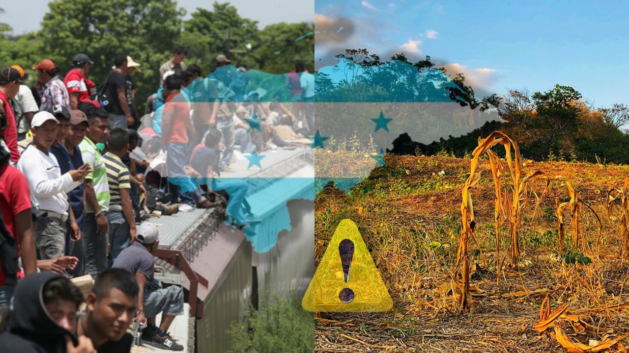 Advierten que migración y sequían agudizarían inseguridad alimentaria