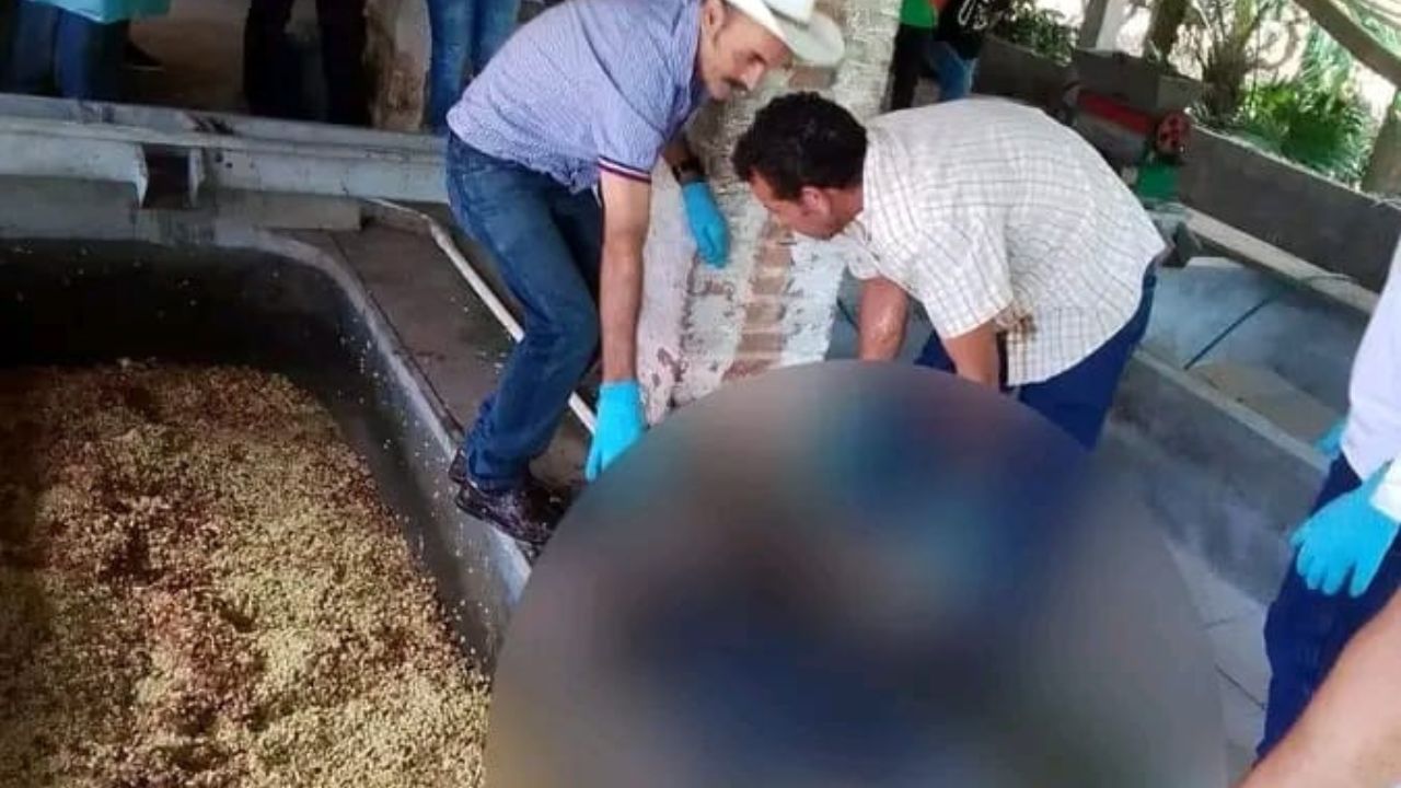 'Estaba trabajando', joven hondureño muere al caer a pila mientras lavaba café