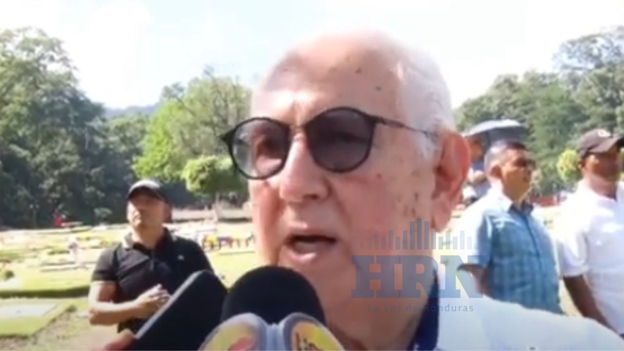 Partidos políticos están desfigurados, señala expresidente Micheletti