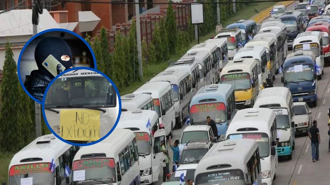 Transportistas piden medidas urgentes al gobierno ante aumento de inseguridad en este rubro
