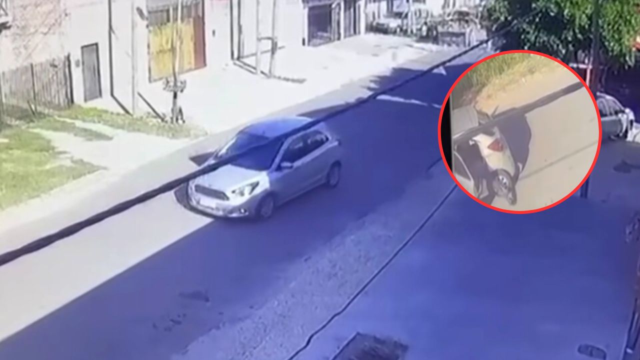 Video del asesinato de Umma: hija del custodio de Patricia Bullrich es asesinada tras intento de asalto