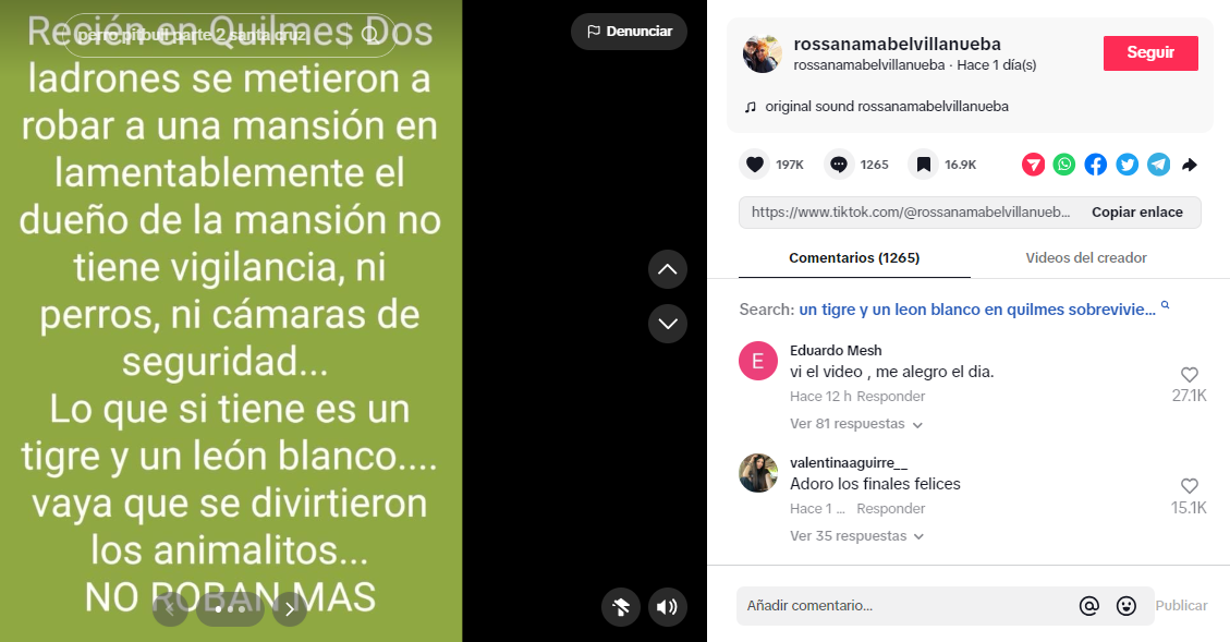 Publicación señalando que el video del tigre y el león blanco en mansión que circula en Twitter se registró en Quilmes. Foto: TikTok