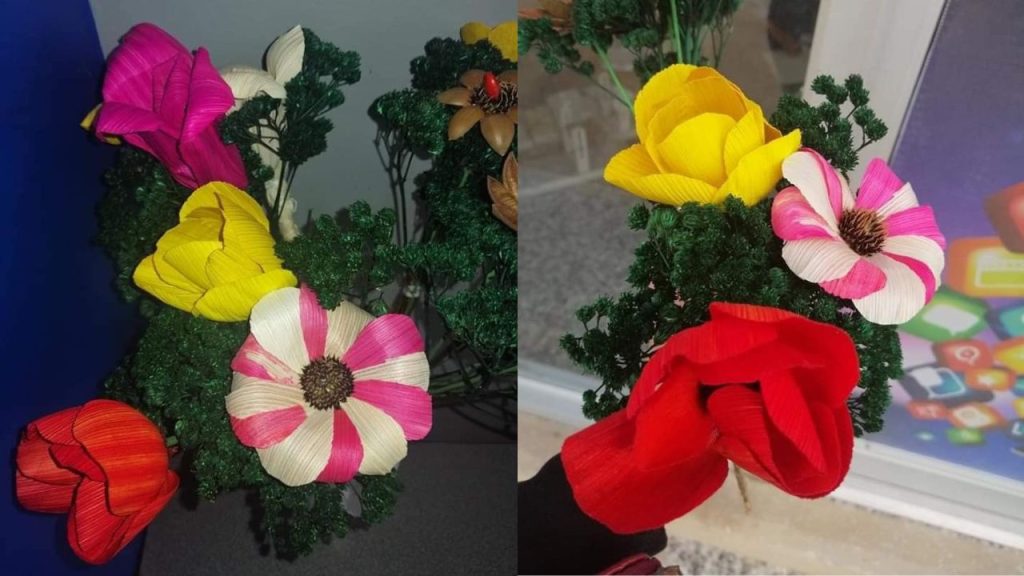 Imagen de cuerpo de nota