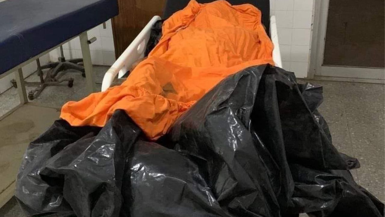 Imagen de cuerpo de nota