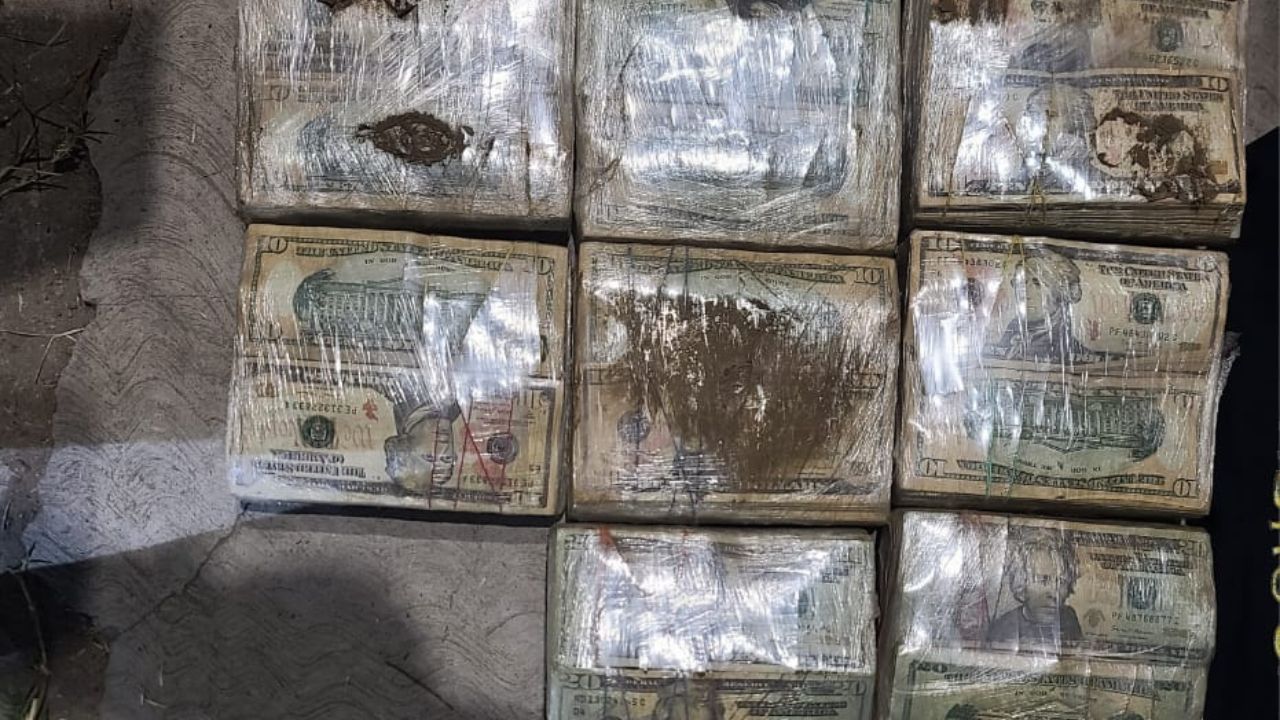 Imagen de cuerpo de nota