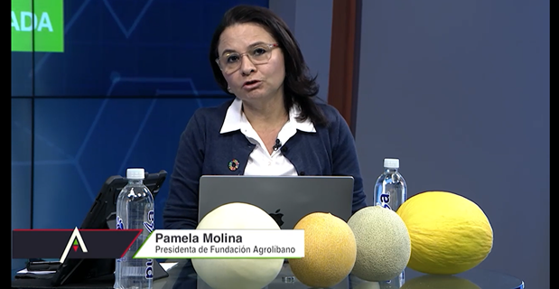 Imagen de cuerpo de nota