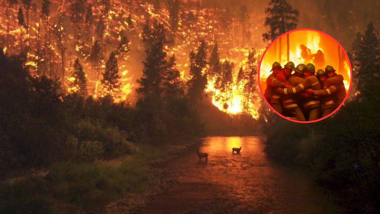 7 bomberos mueren abrazados: la verdadera historia del incendio en Chile donde varios brigadistas fallecieron