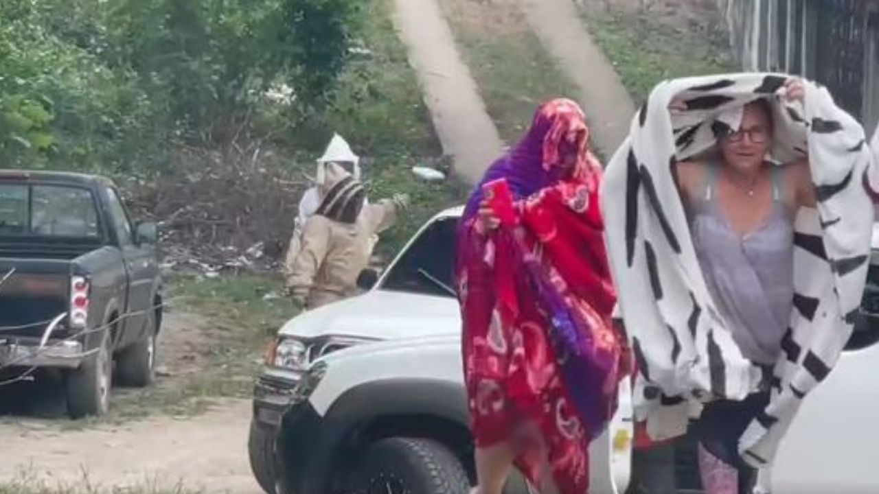 Abejas matan a tres perritos y picaron a 6 personas en Santa Bárbara