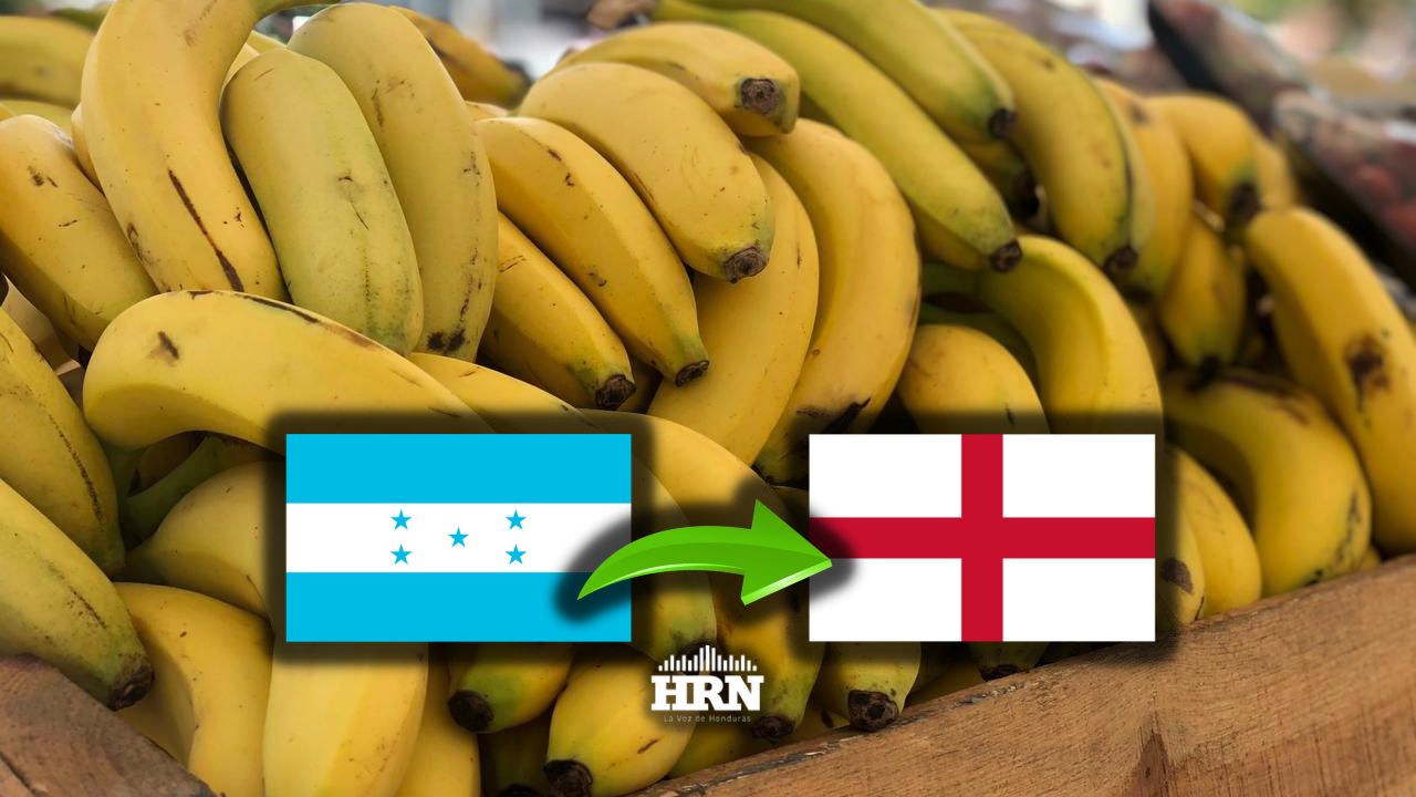 Honduras hace su primera exportación de banano a Inglaterra en tres años
