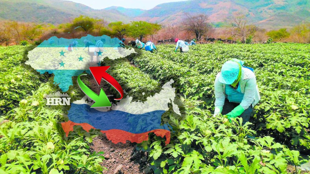 Buscan que agricultores exporten sus productos al crear Cámara de Comercio Honduras - Rusia