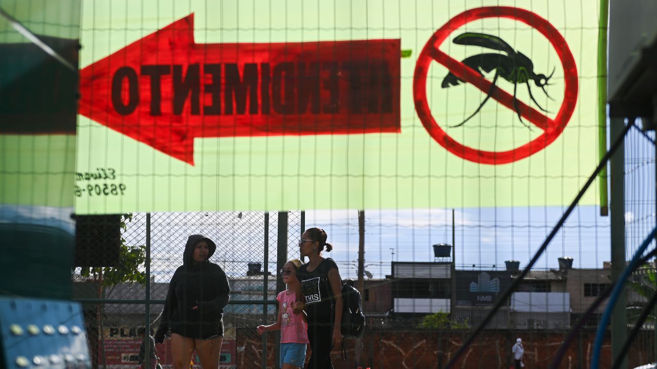 Brasil supera el medio millón de casos de dengue en lo que va de año