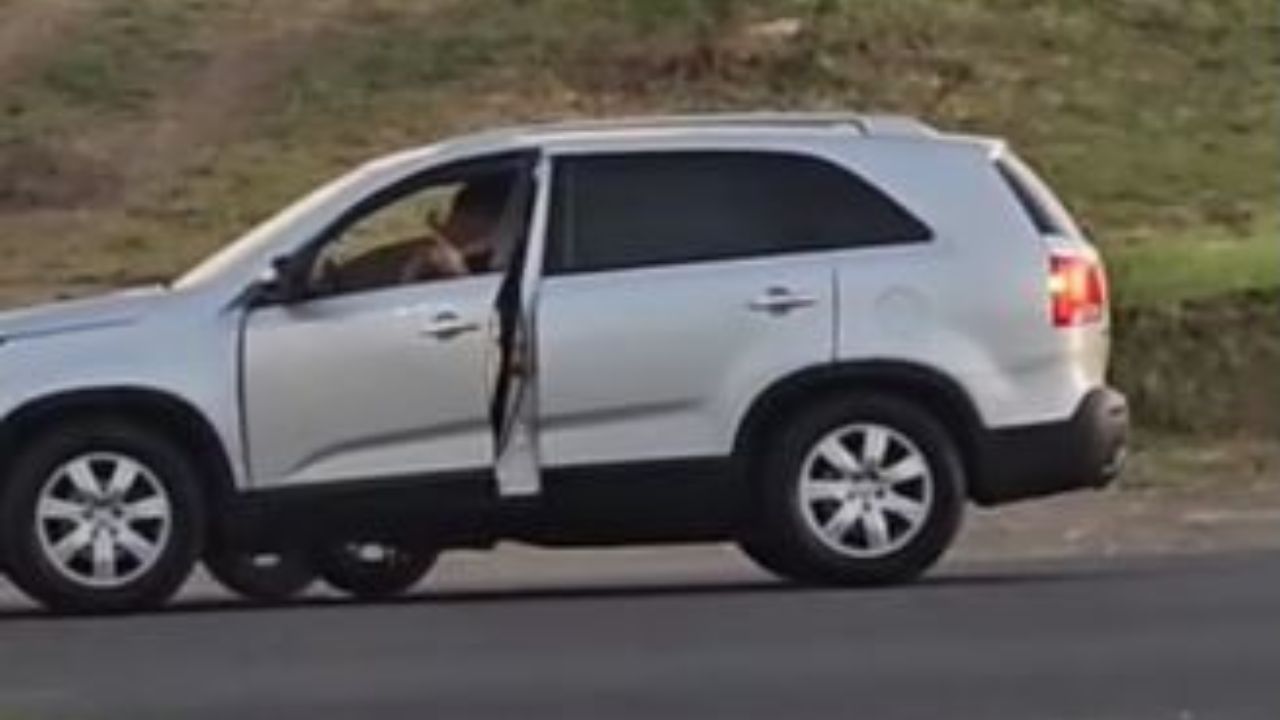 VIDEO: Conductor enfurece y dispara porque la fila no avanzaba