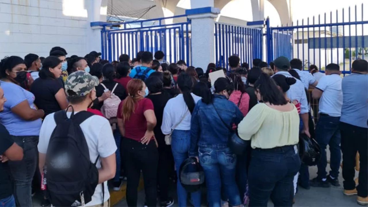 Gobierno debe implementar nuevas estrategias para generar empresas y empleo, afirma analista