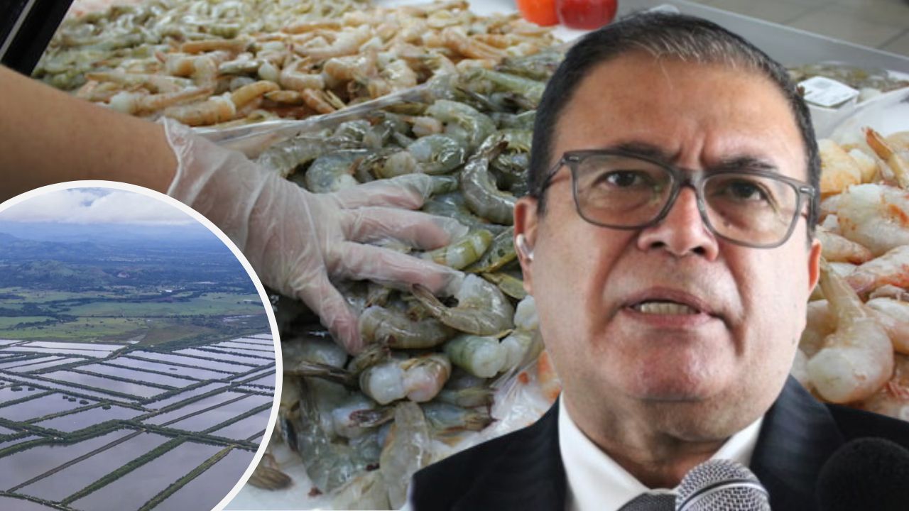 Camarón hondureño no pone en riesgo la salud de los mexicanos, dice Fredis Cerrato