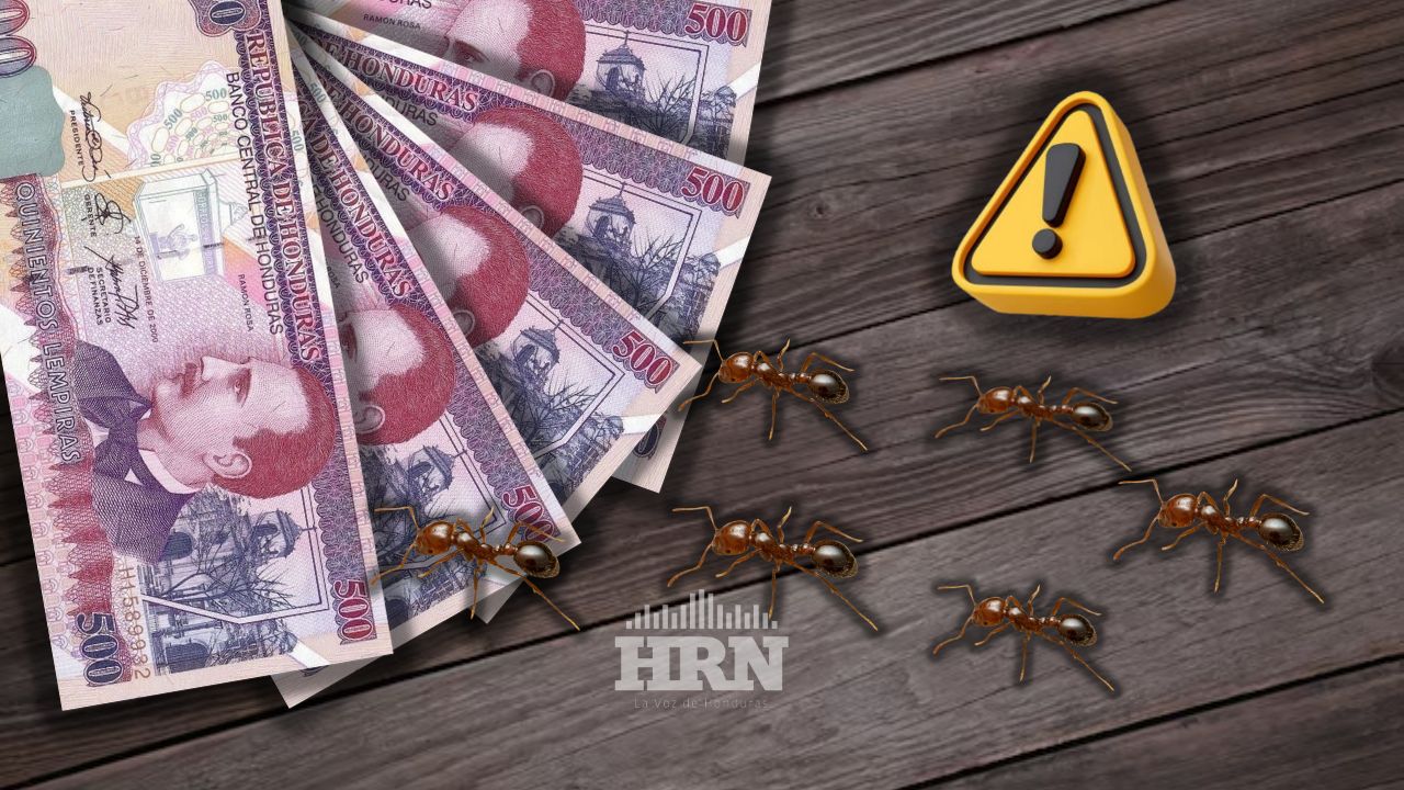 ¿Cómo afectan en la economía personal los 'gastos hormiga'?