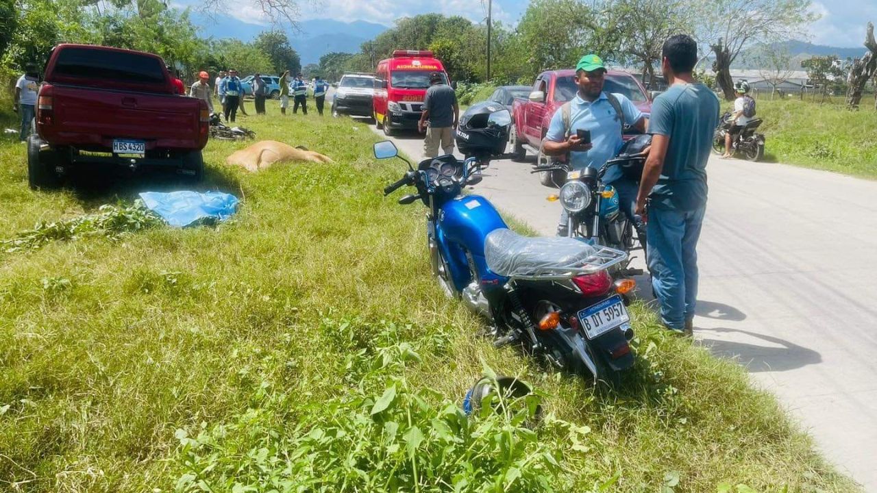 Motociclista hondureño y vaca mueren en encontronazo en Choloma